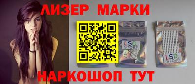 прущие грибы Будённовск