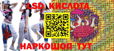 прущие грибы Будённовск