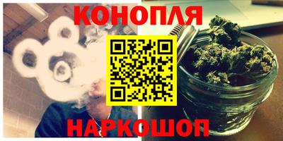 прущие грибы Будённовск