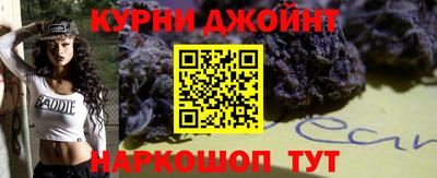 прущие грибы Будённовск