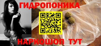 прущие грибы Будённовск