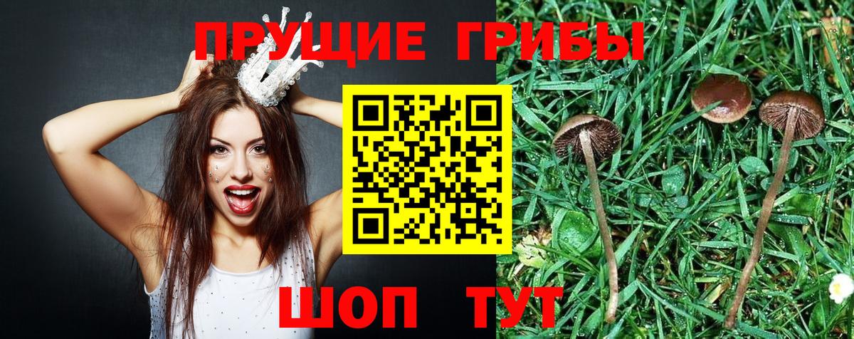 Галлюциногенные грибы мицелий Муром
